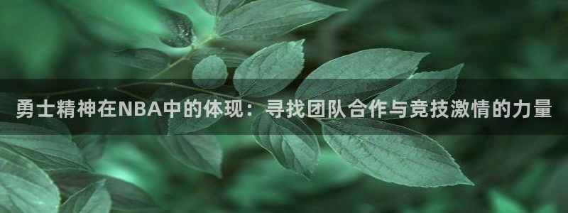 857篮球体育直播