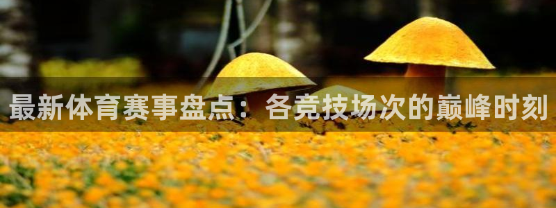 857足球免费直播