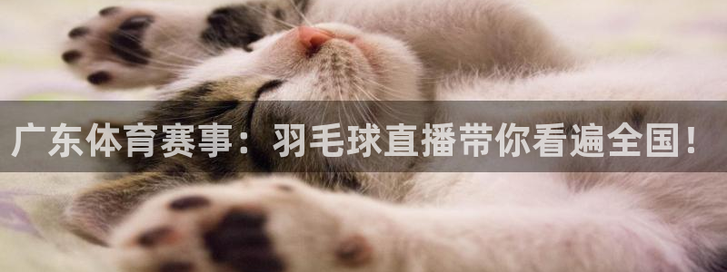 857体育直播吧