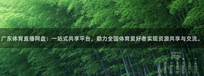 857免费直播nba