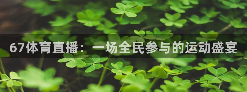 857体育视频直播：67体育直播：一场全民参与的运动盛宴