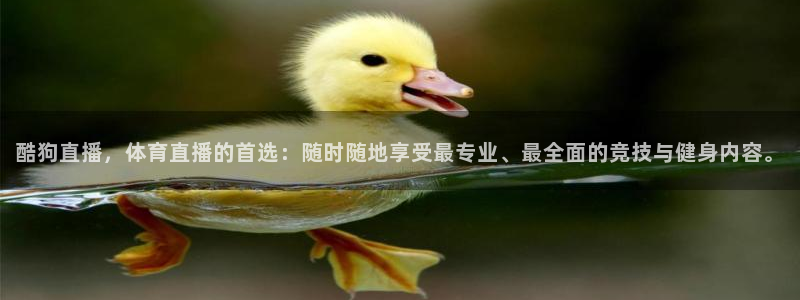 857足球直播比赛
