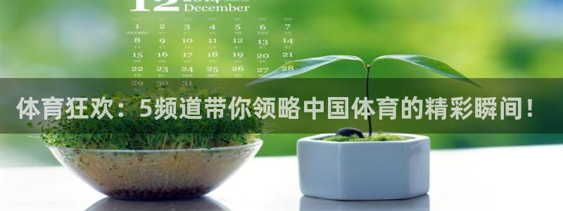 857 直播：体育狂欢：5频道带你领略中国体育的精彩瞬间！