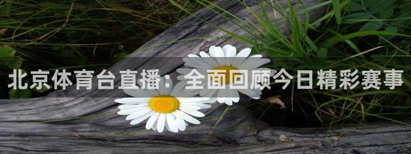 857体育直播免费观看