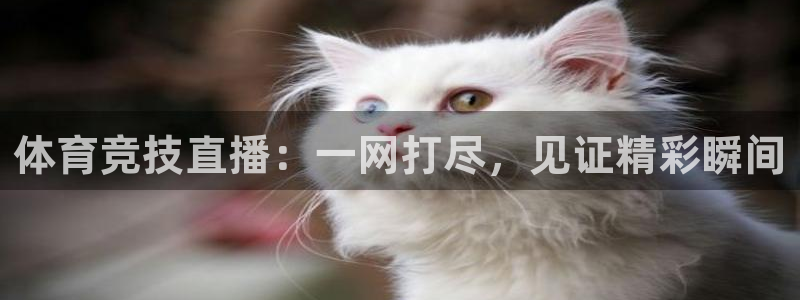 857体育赛事直播官网