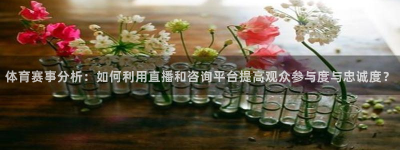 857直播nba在线直播：体育赛事分析：如何利用直播和咨询平台提高观众参与度与忠诚度？