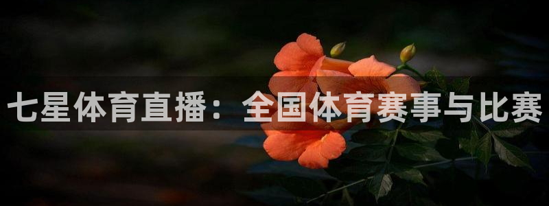 857体育赛事直播免费高清：七星体育直播：全国体育赛事与比赛