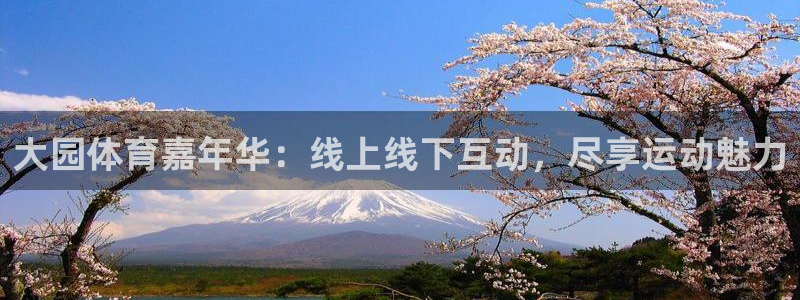 857直播免费赛事：大园体育嘉年华：线上线下互动，尽享运动魅力